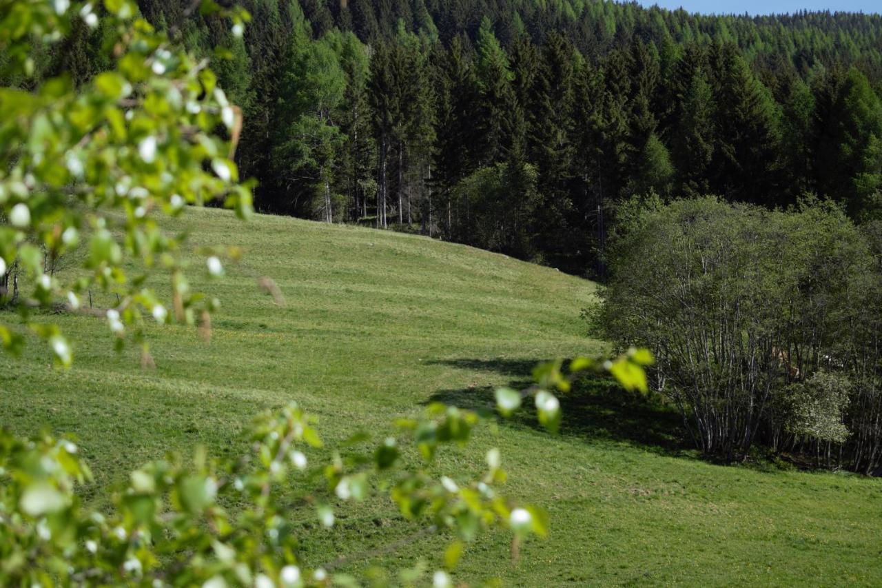 Landhaus Holzer Sankt Margarethen im Lungau Extérieur photo